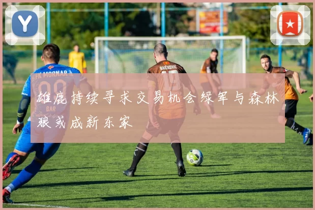 雄鹿持续寻求交易机会绿军与森林狼或成新东家